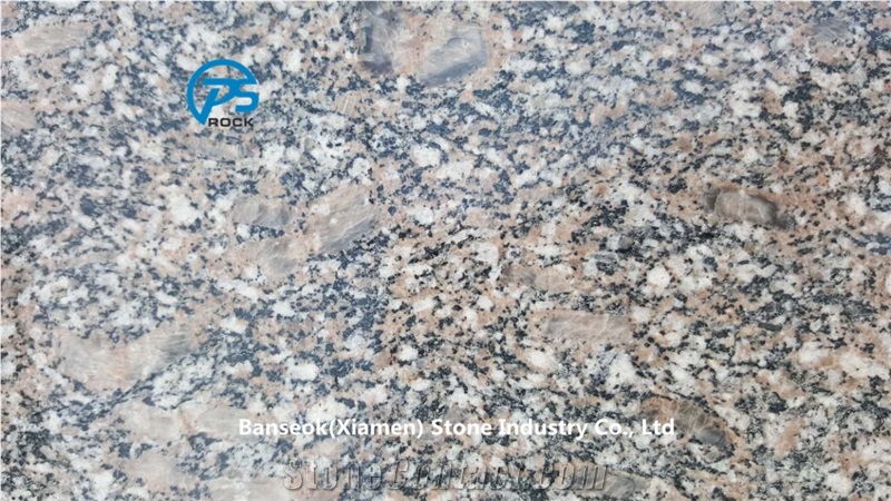Royal Palm Granite Tile, China Granite Tile & Slab