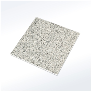 G603 Granite Light Grey Tiles