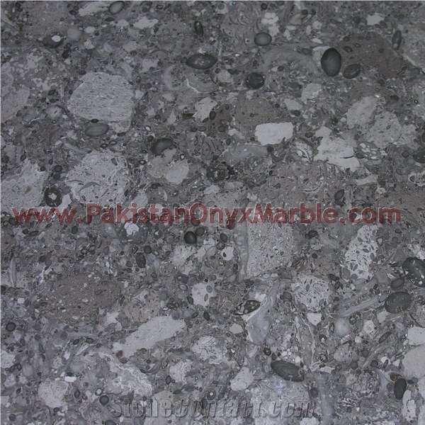 Export Quality Oceanic Gemstone Corel Marble Tiles