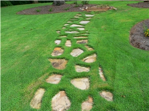 Gneiss for Grass Fugue,, Landscaping Stones, Flagstone