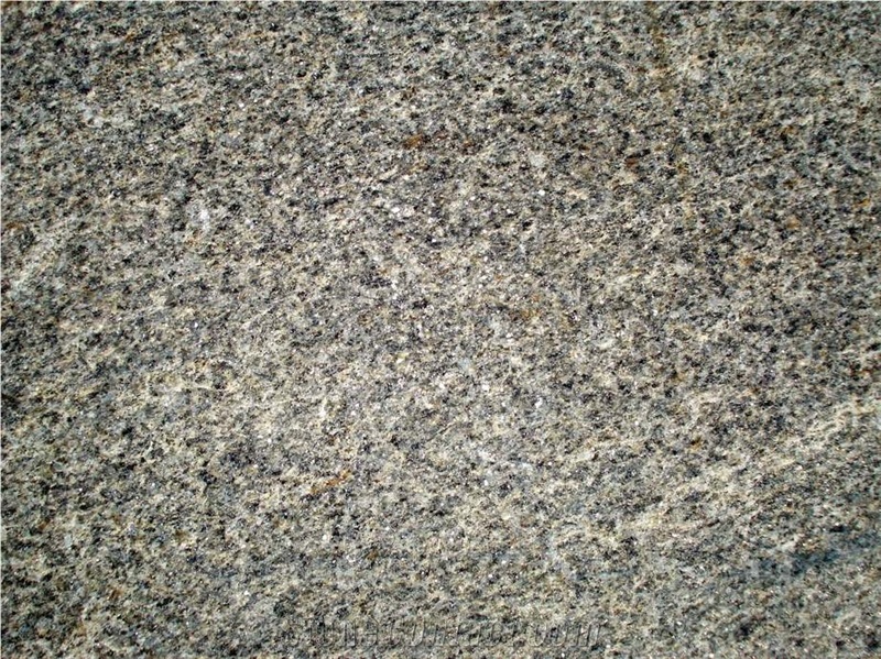 Tiger Natural Stone Quartzite Flagstone
