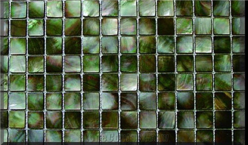 Silver Lip Gem Stone Mosaic Pattern