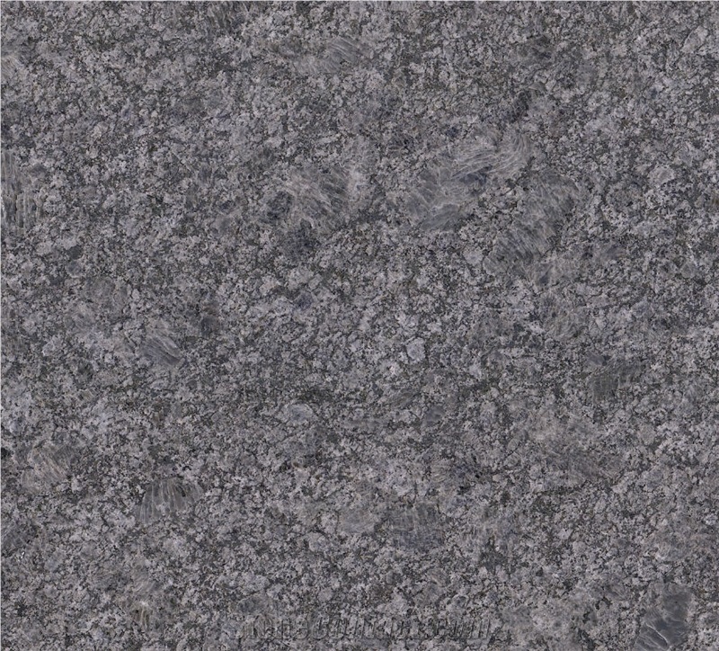 Silver Pearl Granite Slab