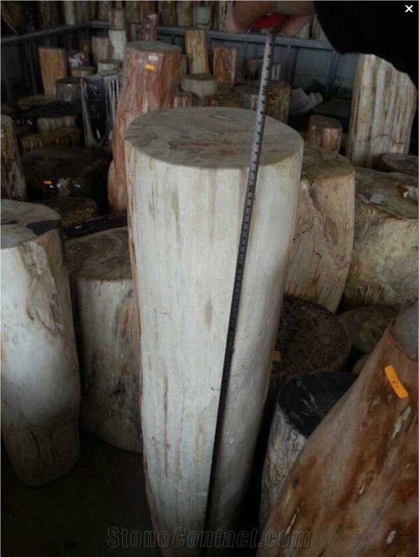 Petrified Wood,Fossilized Wood Stone,Natural Luxary Decorative Stone,High Value for Collection
