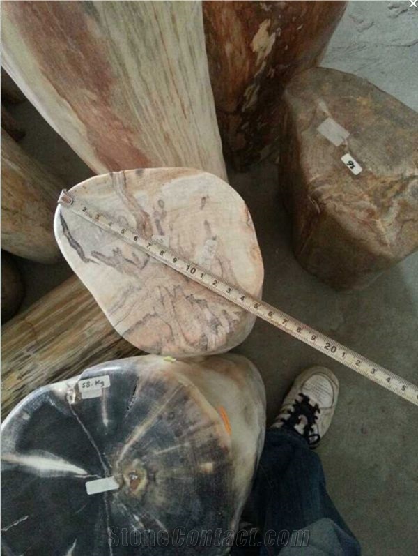 Petrified Wood,Fossilized Wood Stone,Natural Luxary Decorative Stone,High Value for Collection