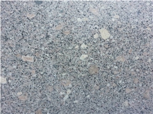 Hottest & Cheap Granite Material - Milk Grey Granite Tile & Slab China Grey Granite Tile