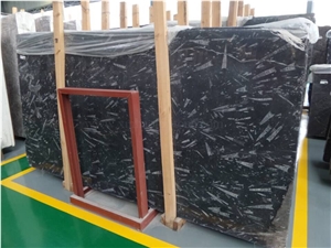Black Fossil Marble Tiles &Slabs,Morocco Black Fossil Marble