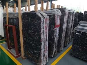 Black Fossil Marble Tiles &Slabs,Morocco Black Fossil Marble