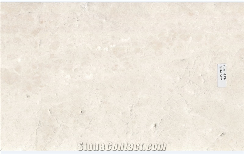 Terra Nova Marble