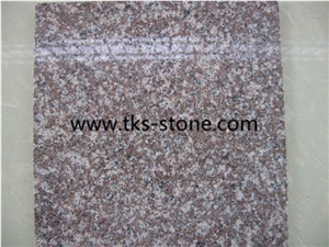 G664 Granite Half Slabs,Bainbrook Brown Granite Slabs & Tiles,G664 240upx70upx2/3cm Half Slabs