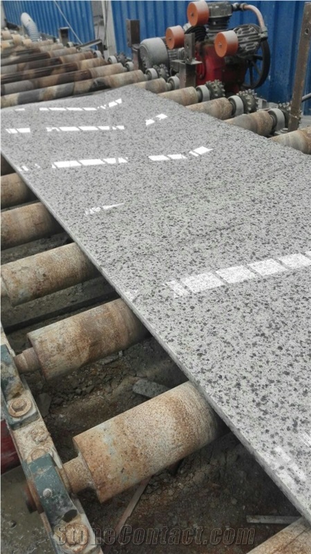 Fargo White Granite with Grey Spots for Polished Staircase, China White Granite Stair Treads with Bullnose Edge