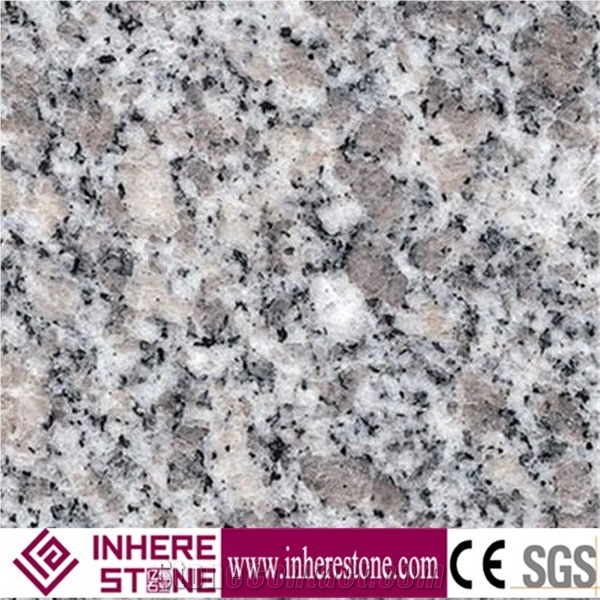 Chinese Sardinia Grey 602 Granite Slabs & Tiles, New Bianco Sardo Granite Tiles, Plum Blossom White Granite