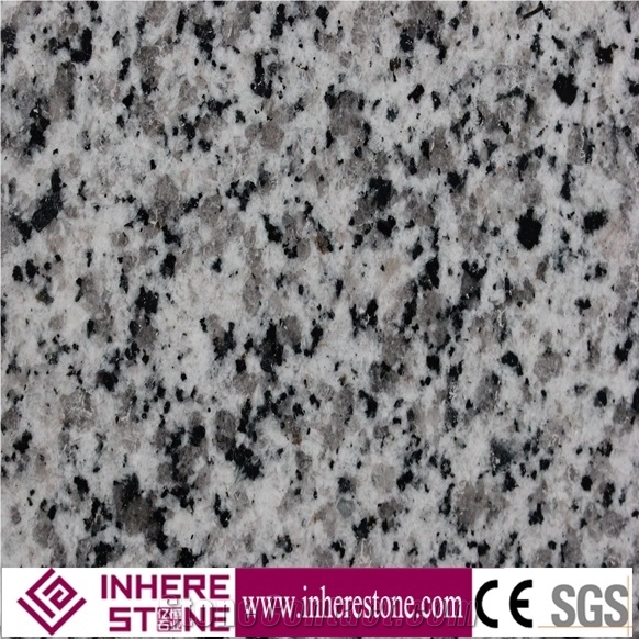 Polished G640 Granite Slabs & Tiles, China Grey Granite for Sale