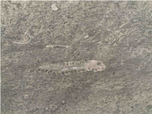 Fossil Grey Slab