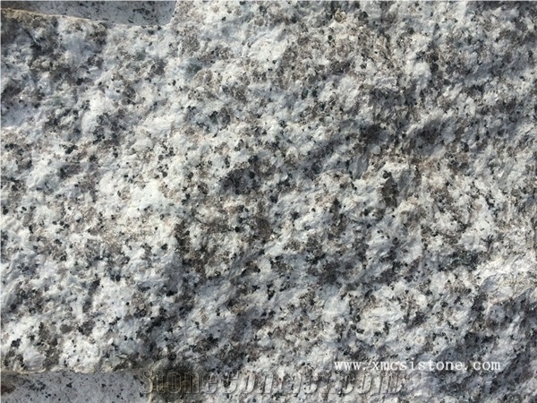 Blocks Stock -G655 Granite Tongan White Granite Walling Tiles & Slabs/China White Granite Flooring Tiles