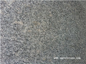 Hot Sale-Flamed G602 New Bianco Sardo Granite Tiles & Slabs for Wall & Floor Covering, China Grey Granite