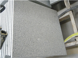 Tianshan Green Granite Cut to Size Tiles, China Green Granite Flamed Tiles/Covering/Flooring/Paving
