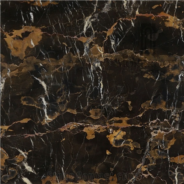 Pakistan Balochistan Black Gold Marble Floor Tile for Living Room Patterns Modern Bathroom Design Natural Marble Price