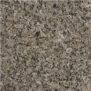 Gray Granite Slabs & Tiles, Iran Grey Granite