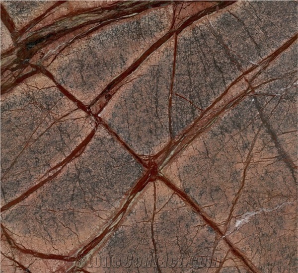 Rain Forest Brown Marble Slabs & Tiles, India Brown Marble