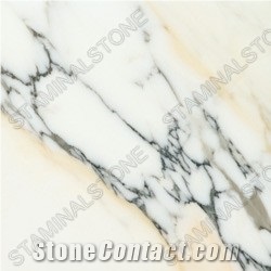 Paonazzo Slabs & Tiles, Italy White Marble