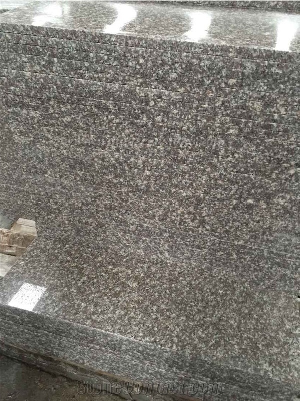 Cheap Polished G664 Granite/Luo Yuan Red Granite/ Brainbrook Brown Granite/Black Spots Brown Granite/China Pink Stairs & Steps, Treads and Threshold