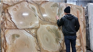 Stone Wood Quartzite Slabs, Yellow Quartzite Flooring Tiles, Polished Granite Brazil