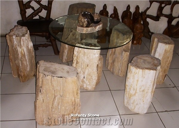 Fossil Wood Stone Chairs and Table