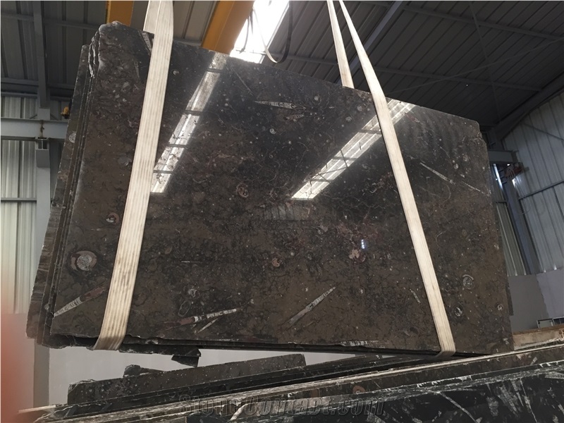 Brown Fossil Slabs Tiles, Morocco Brown Black Fossil Marble Slabs,Nero Fossile Marble Tile Machine Panel for Floor Covering,Hotel Project Material