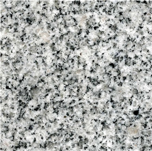 Chinese Cheep White Granite Tile and Slab, China White Granite