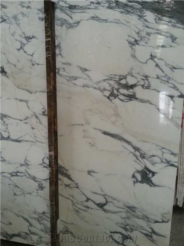 Arrasbescato White Marble Big Slab.Luxary Natural Decorative Stone, Arabescato White Marble Slabs & Tiles