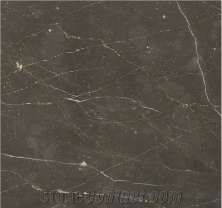 Olive Maron Marble Tiles & Slabs, Brown Marble Covering Tiles Polished