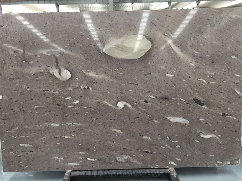 Cygnus Quartzite Covering Slabs/Tiles, Private Meeting Place, Top Grade Hotel Interior Decoration Walling and Flooring, Fast Delivery, Welcome to Inquiry