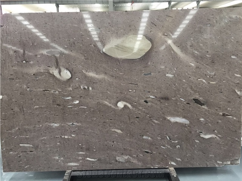 Cygnus Quartzite Slabs & Tiles, New Product Best Price, Brazil Brown Quartzite