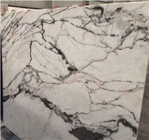 Nero White Marble New Material Best Price Nice Slab Polishing Walling and Flooring Covering China Marble High Quality and Fast Delivery