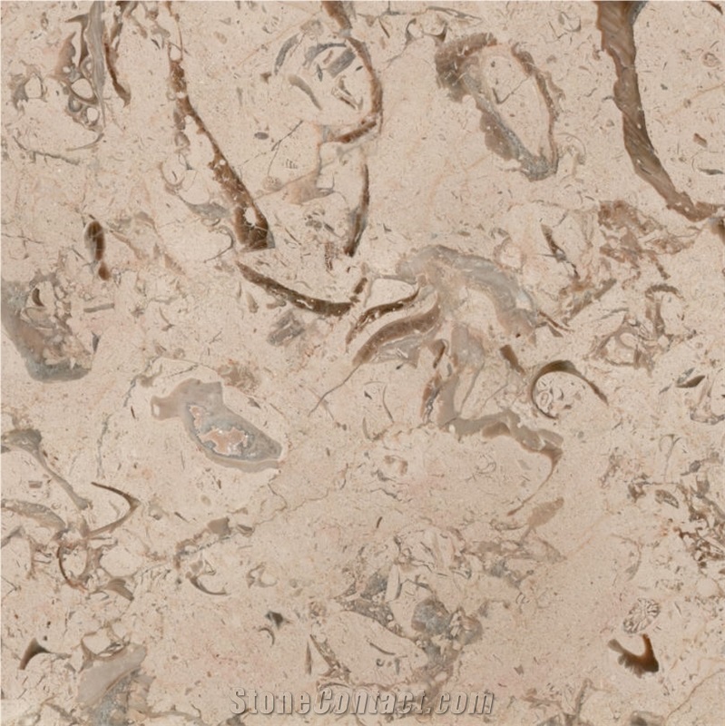 Fossil Beige Marble Slabs & Tiles, Beige Polished Marble Floor Tiles, Wall Tiles