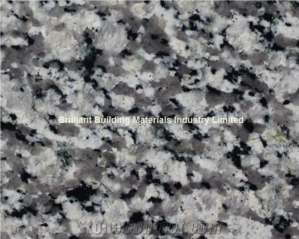 Swan White Granite Tiles/Slab, Natural Gray White Granite