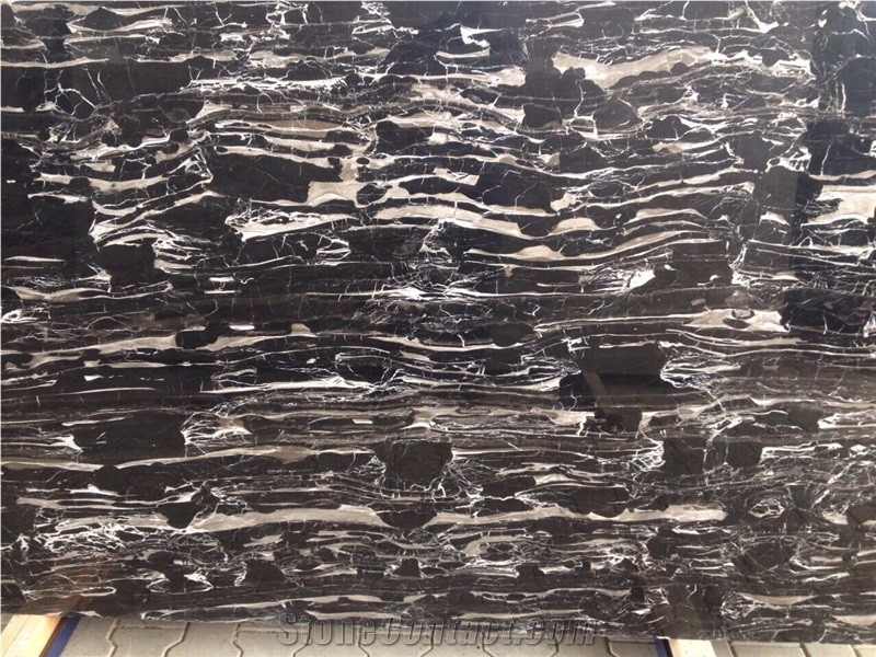 Silver Dragon Marble Slabs,Machine Cutting Panel Floor Tiles, China Black Marble