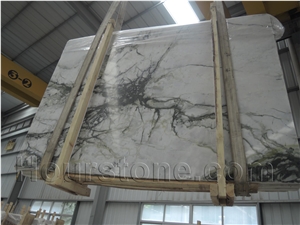 China White Marble with Black Vein Slabs & Tiles