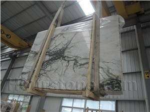 Polished Green & White Clivia Marble Slabs & Tiles