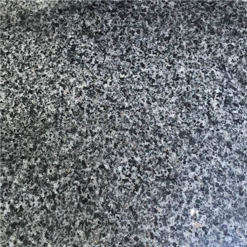 Highly Welcomed Georgia Grey Granite Tiles for Flooring, United States Grey Granite