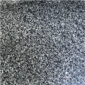 Top Quality Edison Black Granite Material for Tile and Slab, China Black Granite