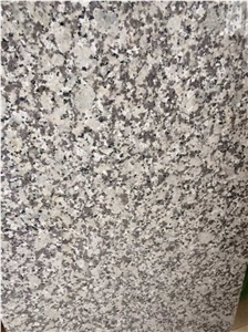 China Bala Flower Granite Tiles & Slabs, Chinese White Granite, Guangdong Province Origin, Polished/Honed/Flamed/Bush Hammered/Sandblast
