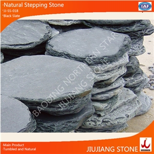 Natural Slate Stepping Stone