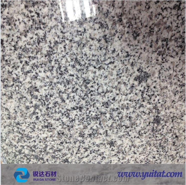 G603 Polished Grey Granite Tiles 60*30*2cm,60*60*2cm