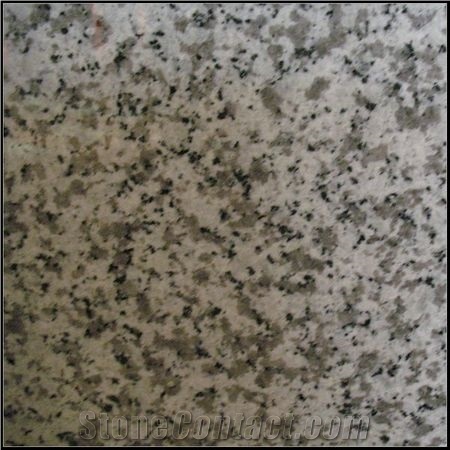 Grey G439 Granite Tiles & Slabs, China Grey Granite, Bianco Sardo Granite