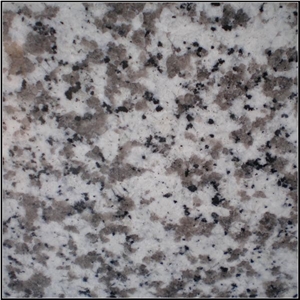 Grey G439 Granite Tiles & Slabs, China Grey Granite, Bianco Sardo Granite