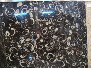 Seashell Stone,China Black Granite Tiles & Slabs