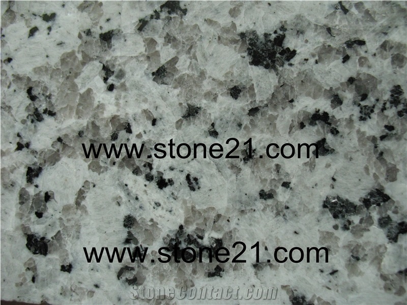 Bianco Sardo Granite Tiles & Slabs, China White Granite