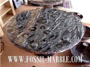 Table Fossils Marble Round Tabletop, Gran Fossil Brown Marble Home Decor